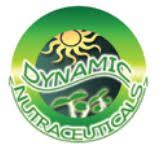 Dynamic Nutraceuticals Inc logo